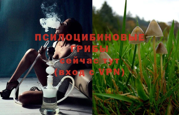 MDMA Гусь-Хрустальный