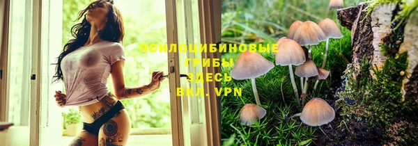 MDMA Гусь-Хрустальный