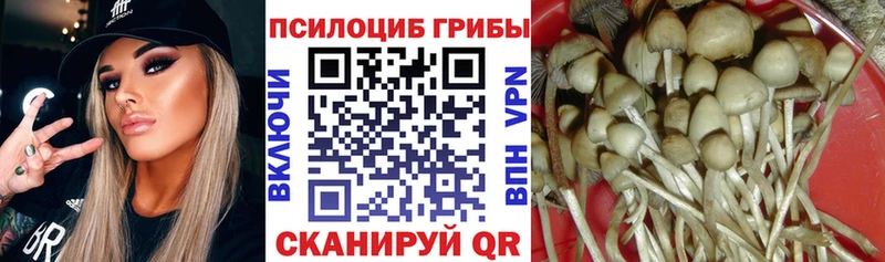 купить цена Фокино Галлюциногенные грибы Magic Shrooms